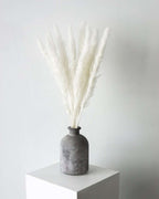 White Small Pampas-0