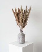 Brown Small Pampas-0