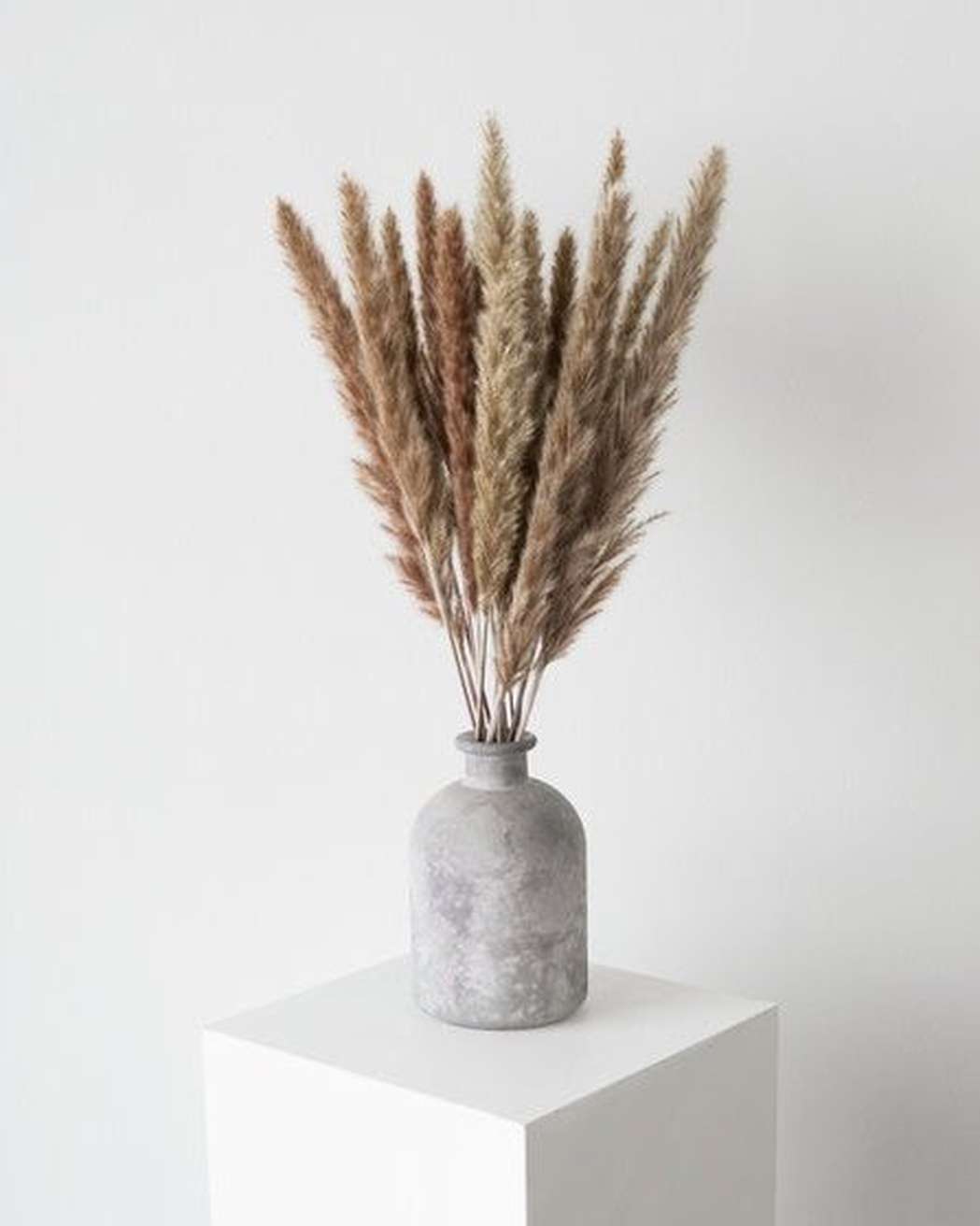 Brown Small Pampas-0