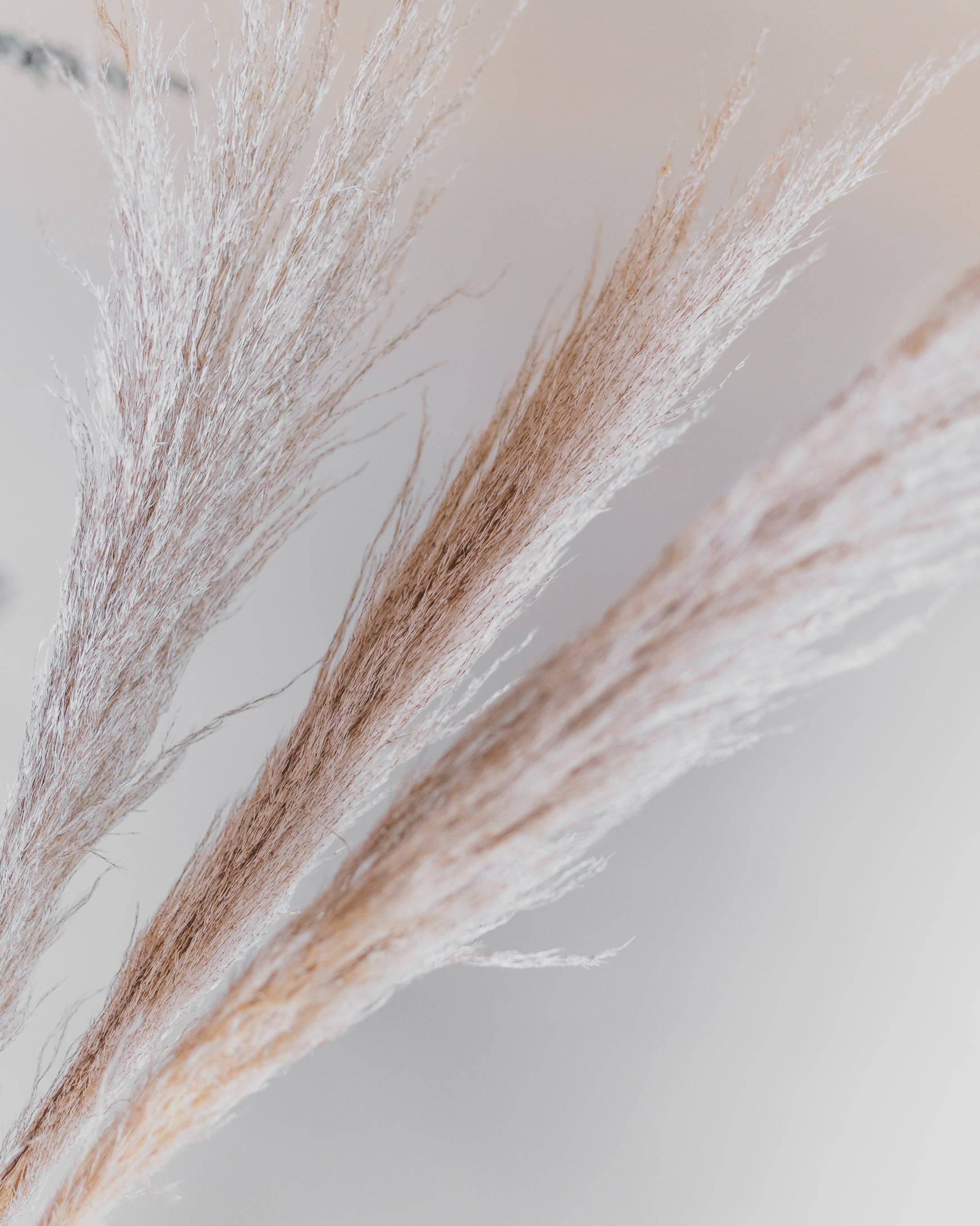 DIY Wedding Centerpiece Bundle (211PCS)-4