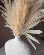 Sun Palm Leaves (2 Pack)-2