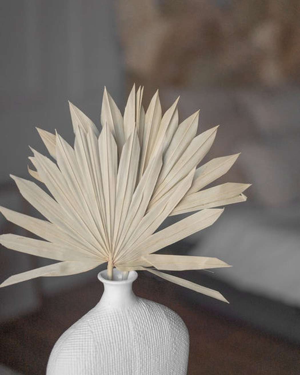 Sun Palm Leaves (2 Pack)-1