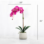 Real Touch Pink Phalaenopsis Orchid Plant - 21"-1