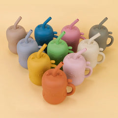 Silicone Straw Water Bottle