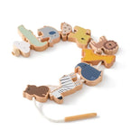 Montessori Wooden Toy Stacking&Threading