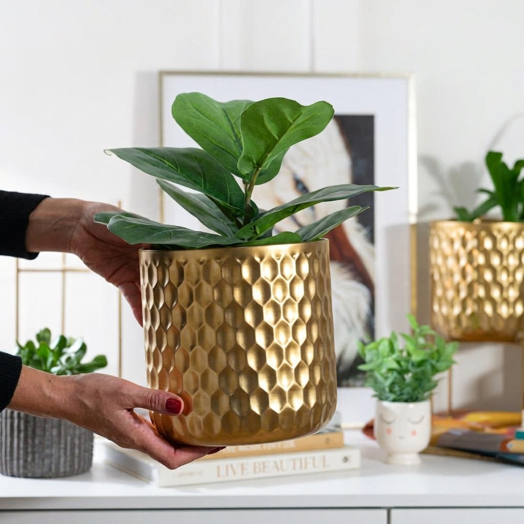 A person's hands holding a gold metallic honeycomb-patterned planter with a green fiddle-leaf fig plant, set in a bright, modern room with other plants and home decor.
