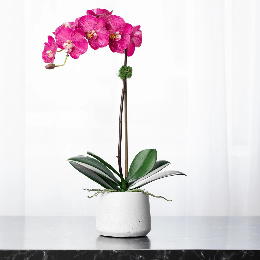 Silk orchid plant - pink phalaenopsis orchid in white pot - 21"-0
