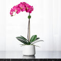Silk orchid plant - pink phalaenopsis orchid in white pot - 21"-0