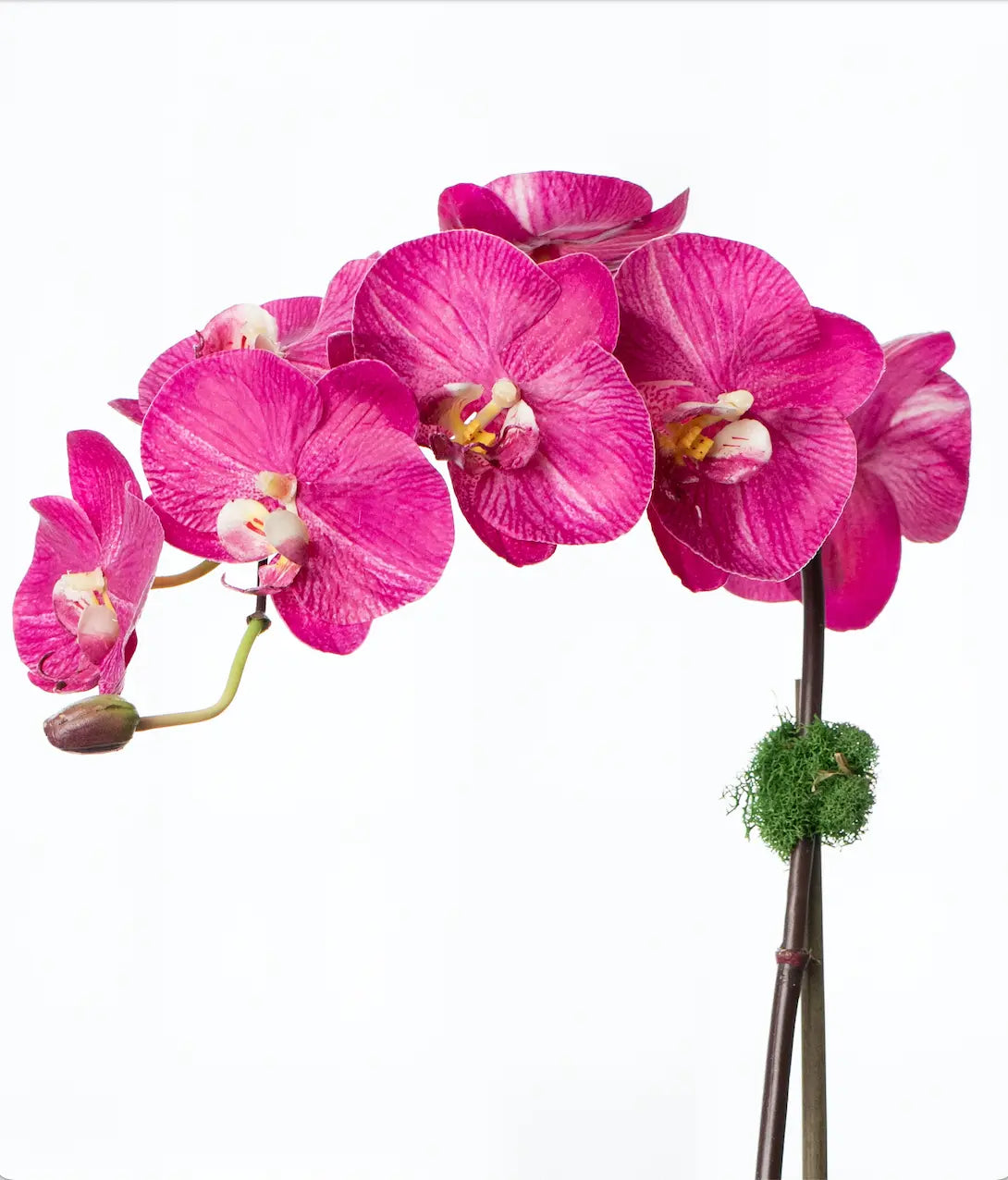Silk orchid plant - pink phalaenopsis orchid in white pot - 21"-1