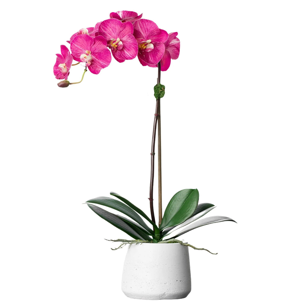 Silk orchid plant - pink phalaenopsis orchid in white pot - 21"-2