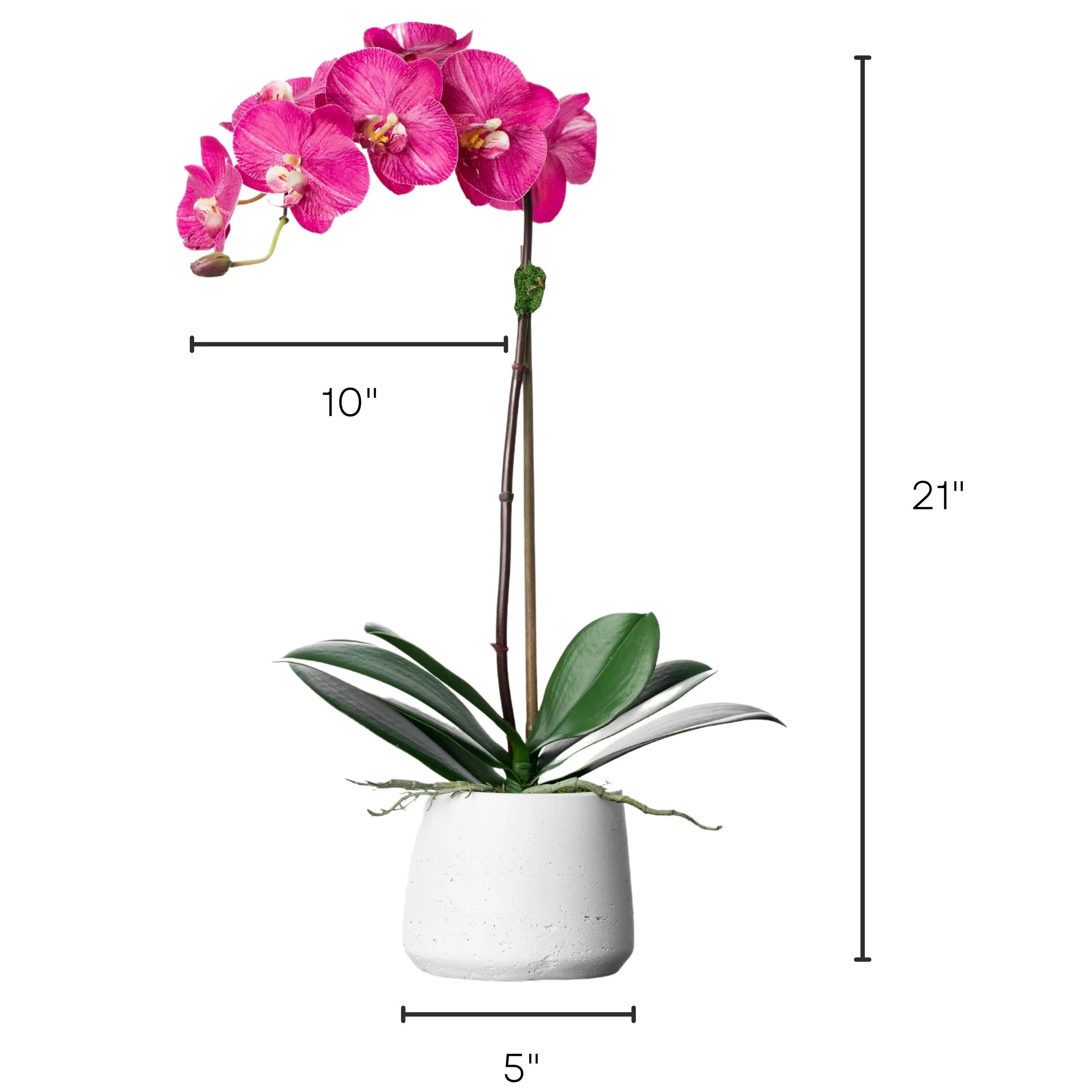 Silk orchid plant - pink phalaenopsis orchid in white pot - 21"-3