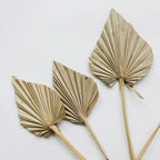 Anahaw Spear Palm Leaves-2
