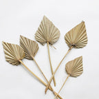 Anahaw Spear Palm Leaves-0