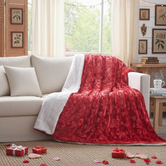 DaDa Bedding Luxury Romantic Red Lovely Hearts Dreamy Plush Faux Fur Throw Blanket (19)-2