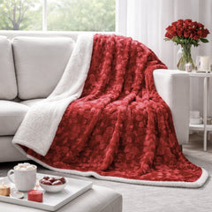 DaDa Bedding Luxury Romantic Red Lovely Hearts Dreamy Plush Faux Fur Throw Blanket (19)-0
