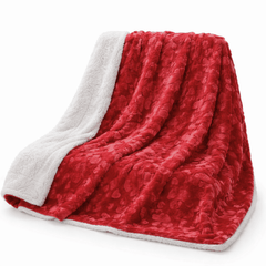 DaDa Bedding Luxury Romantic Red Lovely Hearts Dreamy Plush Faux Fur Throw Blanket (19)-3