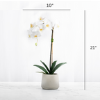 Artificial Orchid Plant White Orchid Plant-1