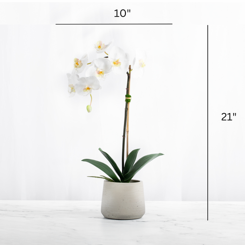 Artificial Orchid Plant White Orchid Plant-1