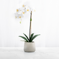 Artificial Orchid Plant White Orchid Plant-0