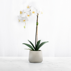 Artificial Orchid Plant White Orchid Plant-0