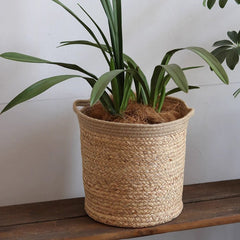 Natural Cylinder Storage and Planter Basket (Shipping fees may apply)