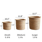 Natural Cylinder Storage and Planter Basket (Shipping fees may apply)
