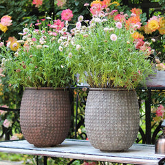 StoneNest Textured Planter (Shipping fees may apply)