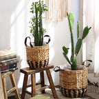 Two-Tone Basket Planter with Leather Handles (Shipping fees may apply)-3