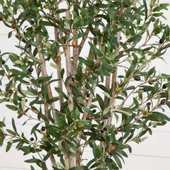 6’ Olive Tree in Stone Planter-1