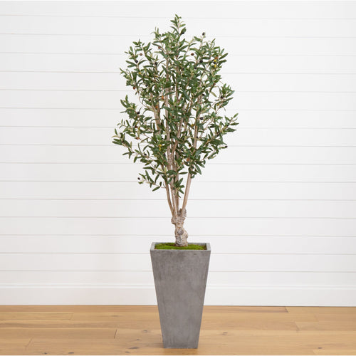 6’ Olive Tree in Stone Planter-0