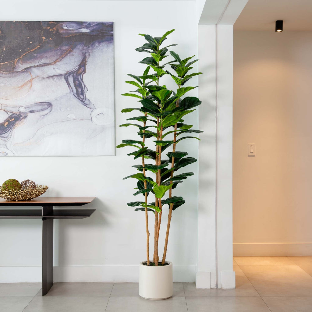 Artificial Fiddle Leaf Tree in White Planter - 7'-2