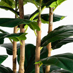 Artificial Fiddle Leaf Tree in White Planter - 7'-1