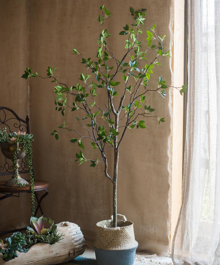 Artificial Minimalist Tree, Green Leaf Faux Tree In Pot-4