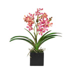 Pink Vanda Orchid Arrangement in Vase - 24"-4