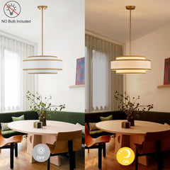 Gold Drum Chandelier 19.7 Inch Contemporary Lighting-3
