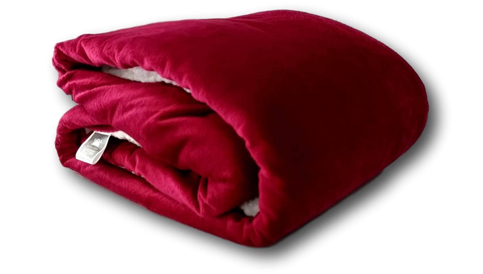 Tache Holiday Red Microfleece with Sherpa Back Throw Blanket-1