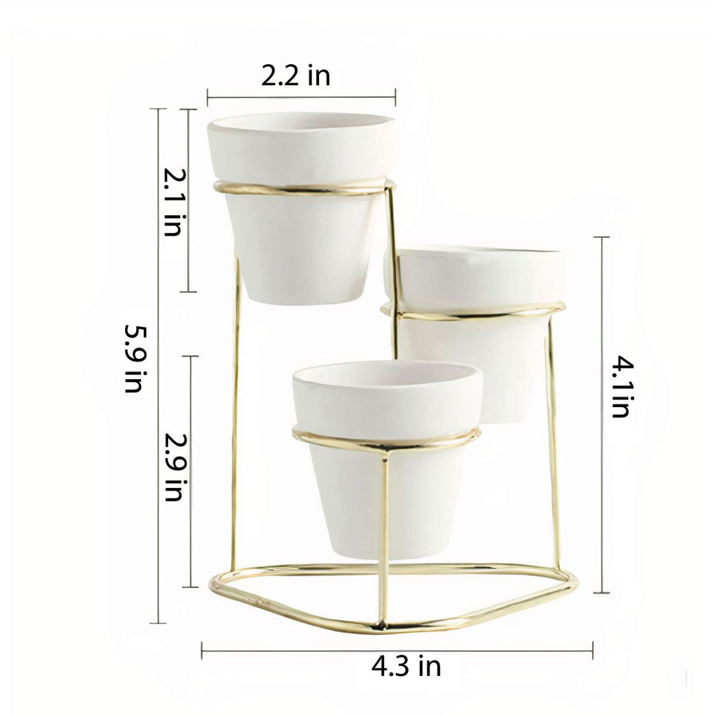3 in 1 Planter-2
