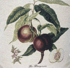 DaDa Bedding Nectarine Fruits Elegant Accent Throw Pillow Cushion Cover - 18" - 1-Piece-1