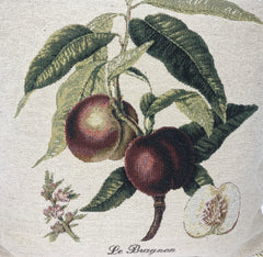 DaDa Bedding Nectarine Fruits Elegant Accent Throw Pillow Cushion Cover - 18" - 1-Piece-1