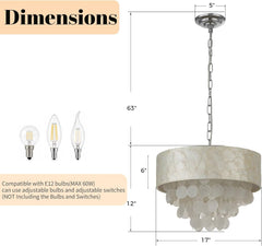 Capiz Shell Drum Chandelier Seventeen Inch Four Light Naturalistic-1