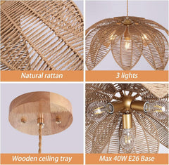 Handwoven Rattan Chandelier 24 Inch Pendant Light Fixture-3