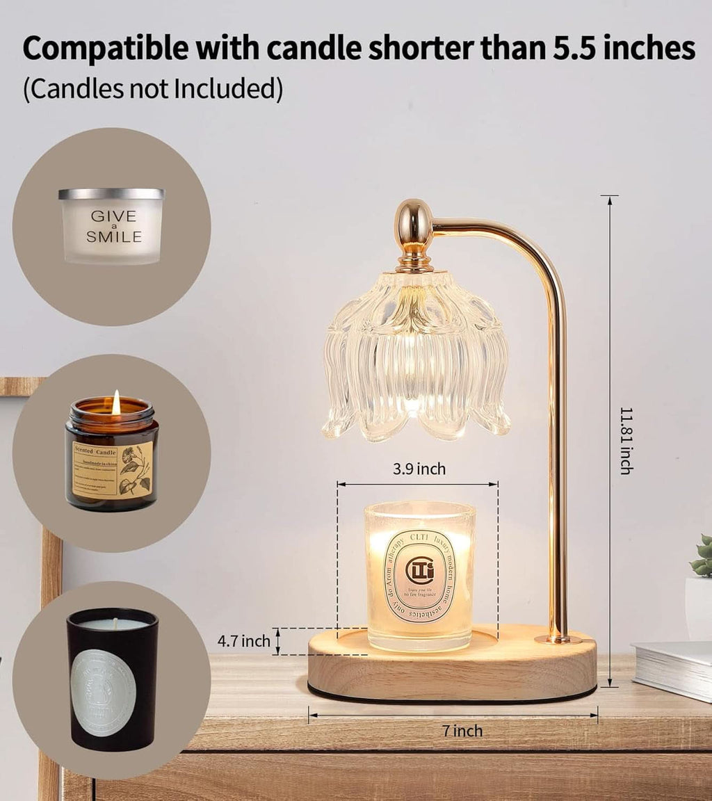 Golden Illuminating Candle Warmer Lamp Timer Dimmer