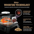 Woodfire Electric Grill Smoker Four In One Outdoor Cooking-0