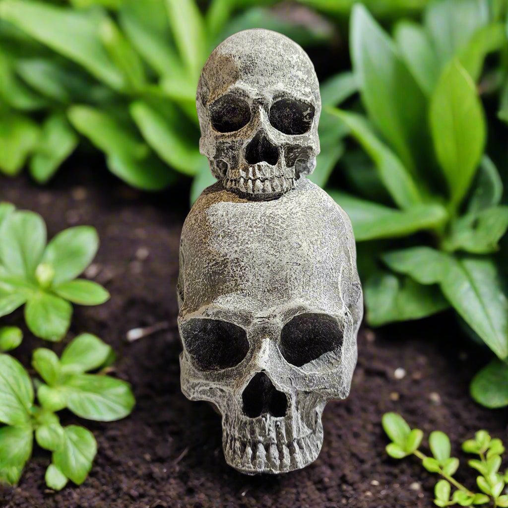 Intriguing Double Skull Statue (7" x 4.5")-1