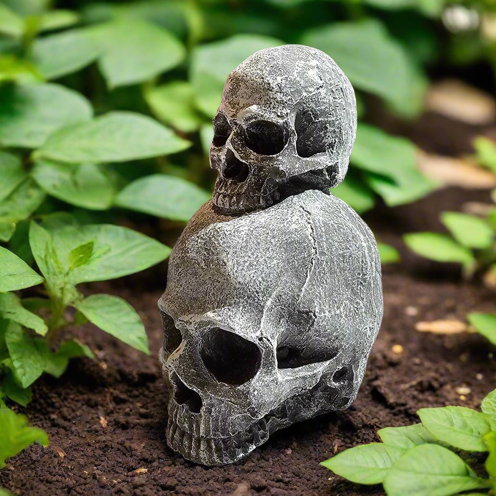 Intriguing Double Skull Statue (7" x 4.5")-2