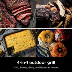 Woodfire Electric Grill Smoker Four In One Outdoor Cooking-1