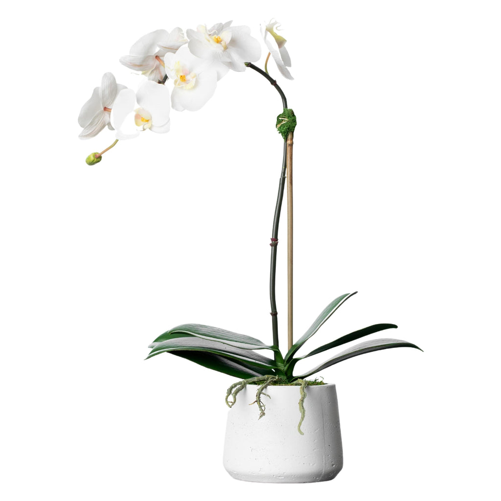 Artificial orchid plant - white orchid in white pot - 21"-1