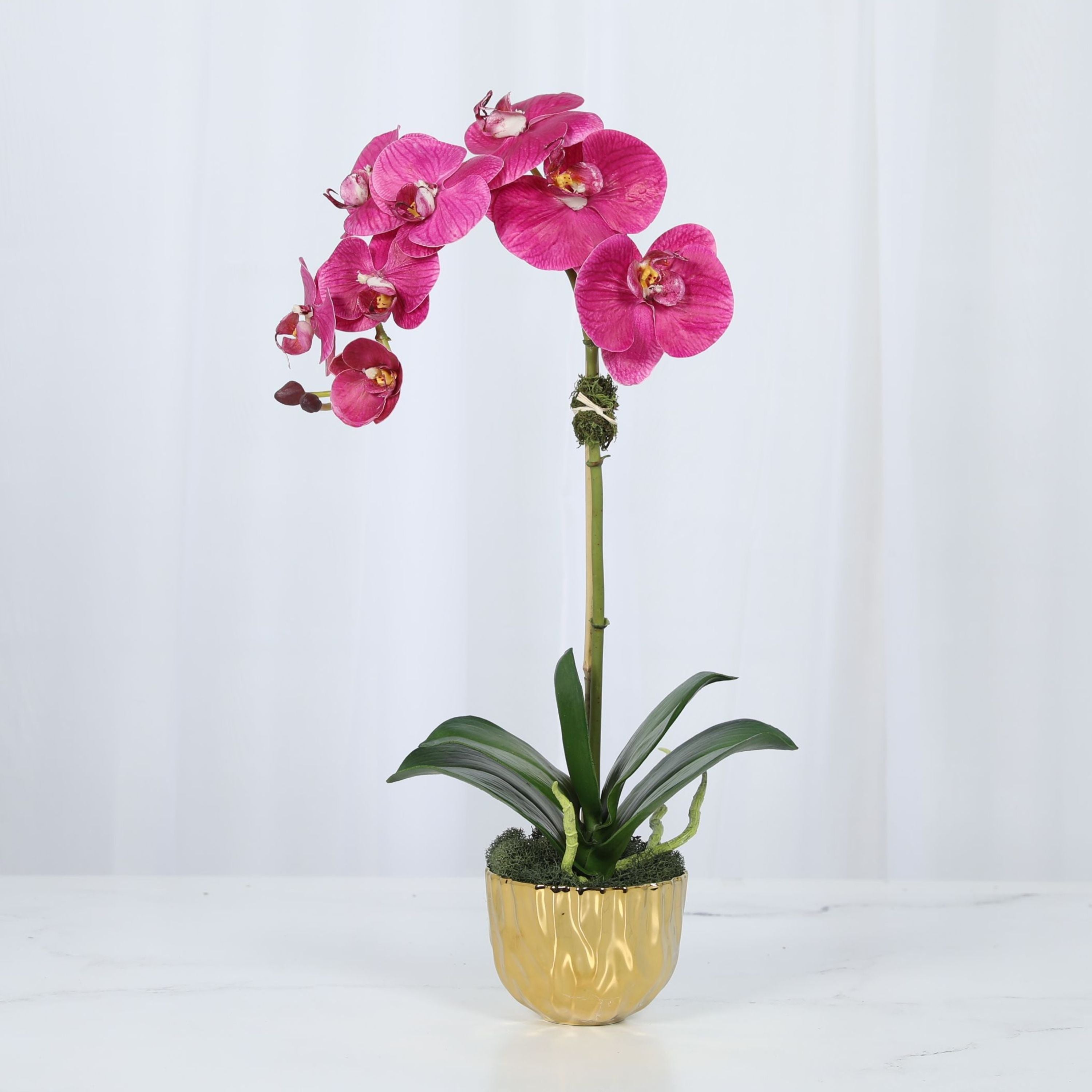 Phalaenopsis Orchid Plant in Gold Vase - 18"-3