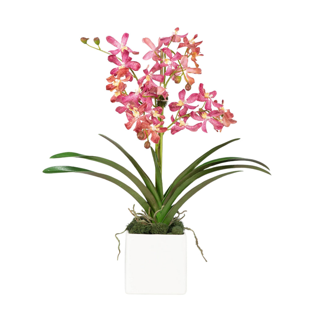 Pink Vanda Orchid Arrangement in Vase - 24"-1