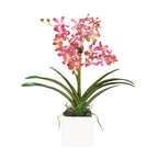 Pink Vanda Orchid Arrangement in Vase - 24"-1